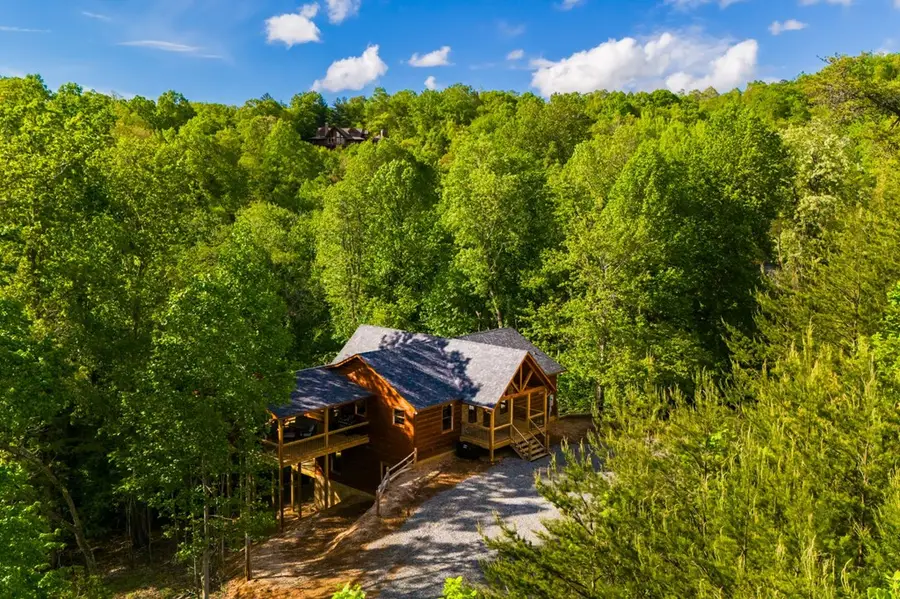 66 Ross Drive, Mineral Bluff, GA 30559 - #3