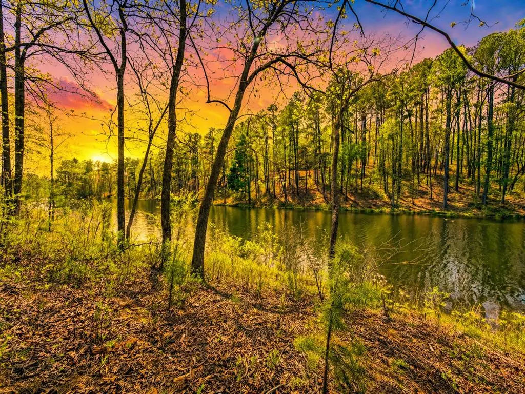 177R Overlook Drive, Ellijay, GA 30536 - #1