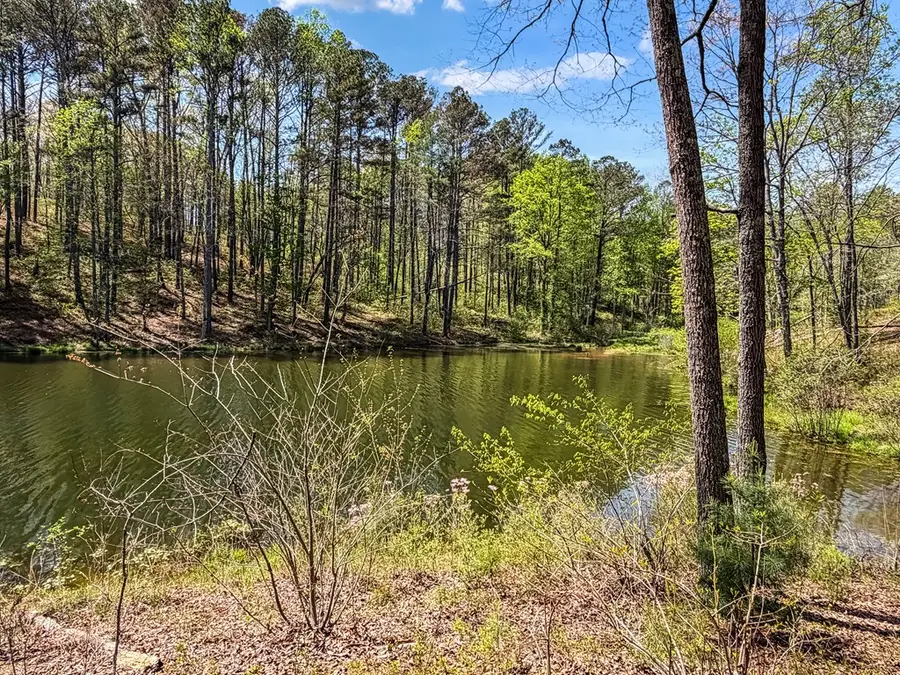 177R Overlook Drive, Ellijay, GA 30536 - #2