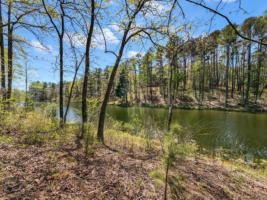 177R Overlook Drive, Ellijay, GA 30536 - #3