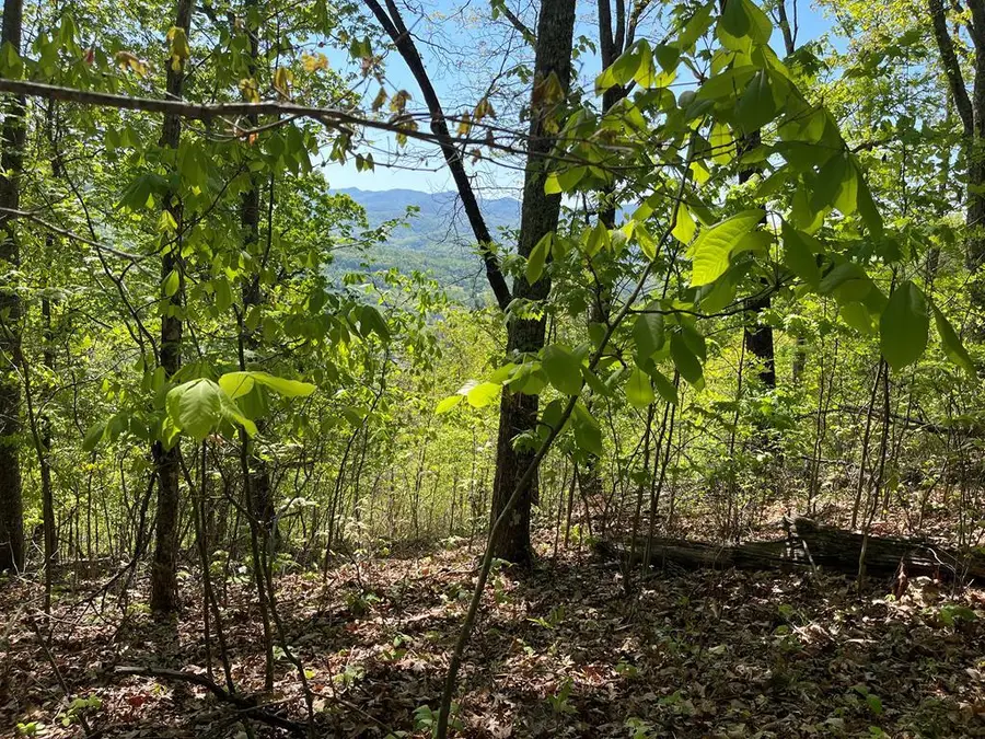 Lot 11J Ash Branch View, Hayesville, NC 28904 - #2