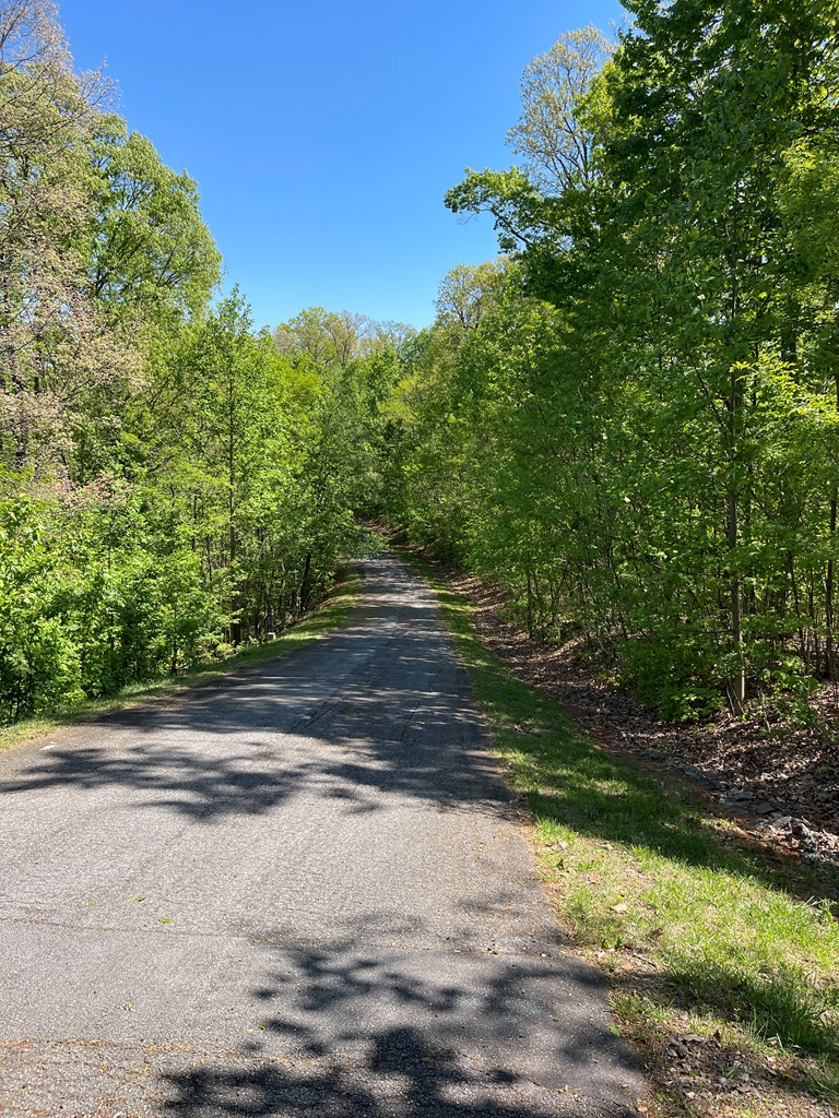 Lot 11J Ash Branch View, Hayesville, NC 28904 - #3