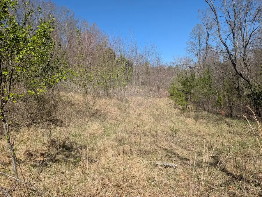 Lot 108 Smoke Rise, Hayesville, NC 28904 - #3