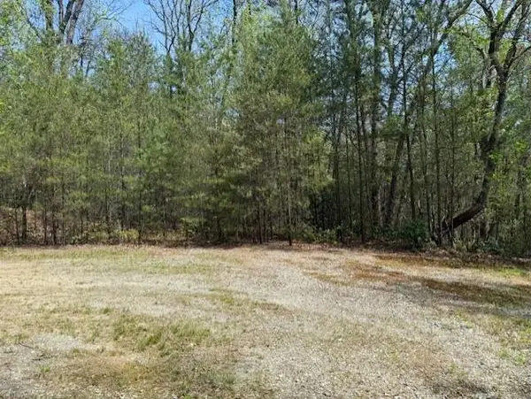 Lot 5 Marjorie Avenue, Ellijay, GA 30536