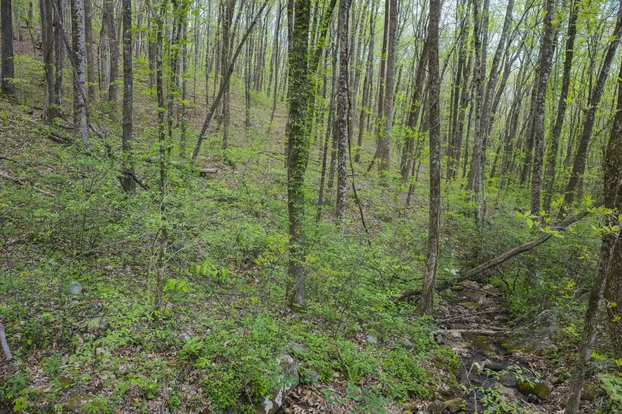 0 Hagin Lane, Ellijay, GA 30536 - #2