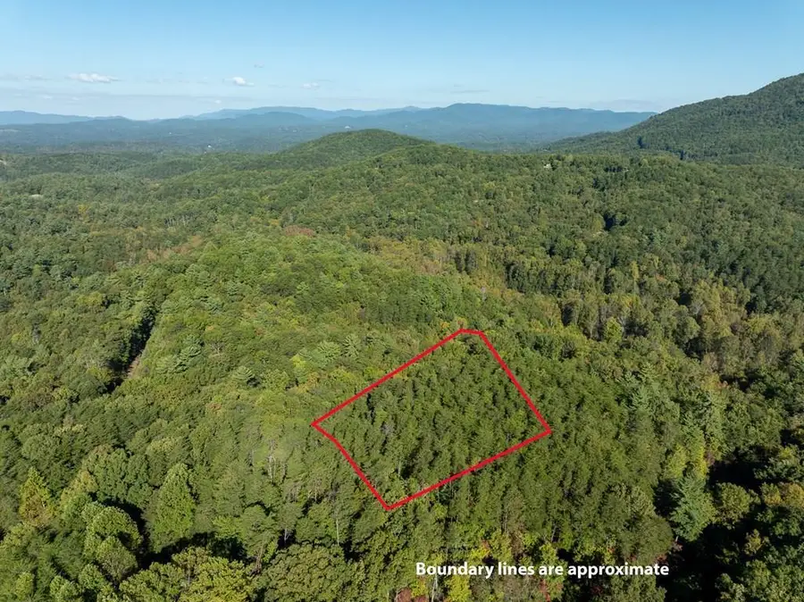Tract 1 Turniptown Road, Ellijay, GA 30536 - #2