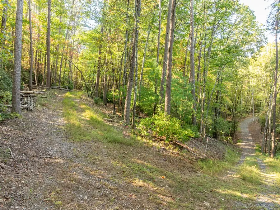 Tract 1 Turniptown Road, Ellijay, GA 30536 - #3