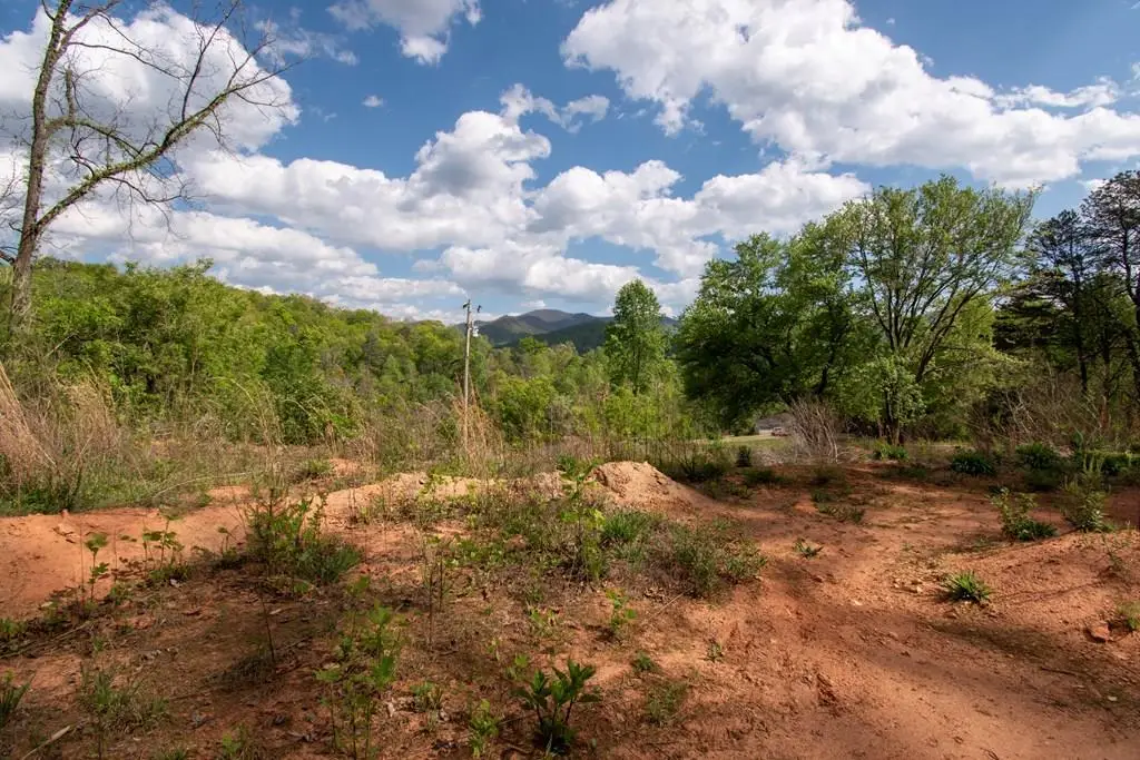 00 W Vineyard Road, Hayesville, NC 28904 - #1