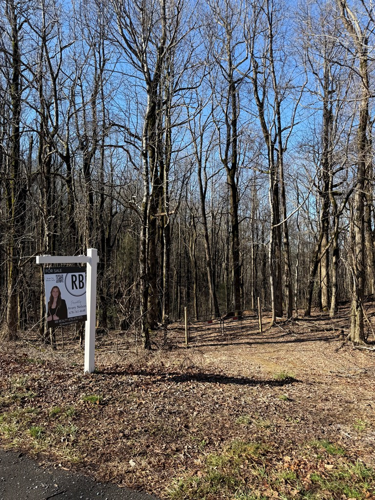 6180 Burnt Mountain Road, Ellijay, GA 30536 - #2