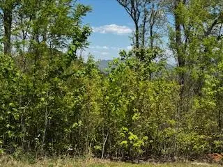 Lot 68 Bowers Road, Blairsville, GA 30512