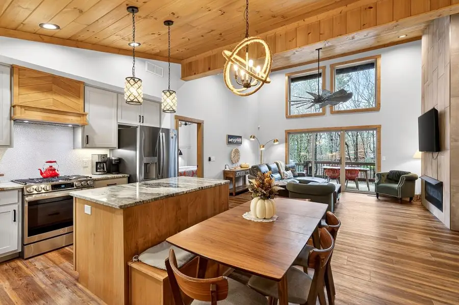 130 Orbit Lane, Ellijay, GA 30540 - #3