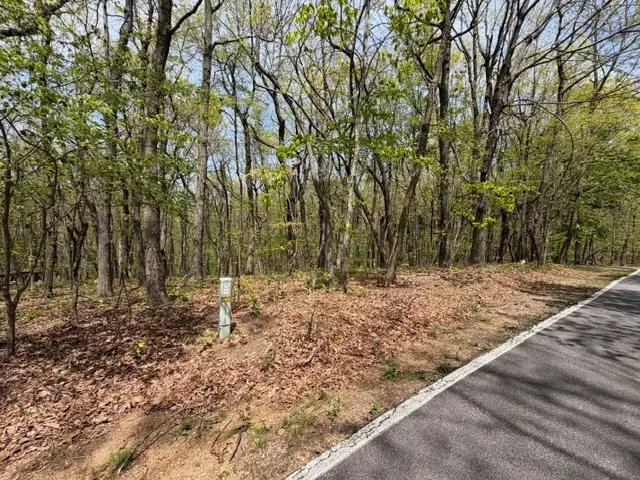 Lot 26 Falcons Nest, Nelson Tate Marble Hill, GA 30413 - #3