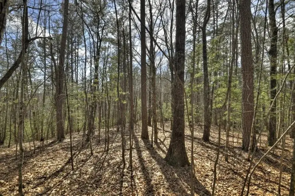 Lot 1 Chestnut Gap Road, Blue Ridge, GA 30513 - #1