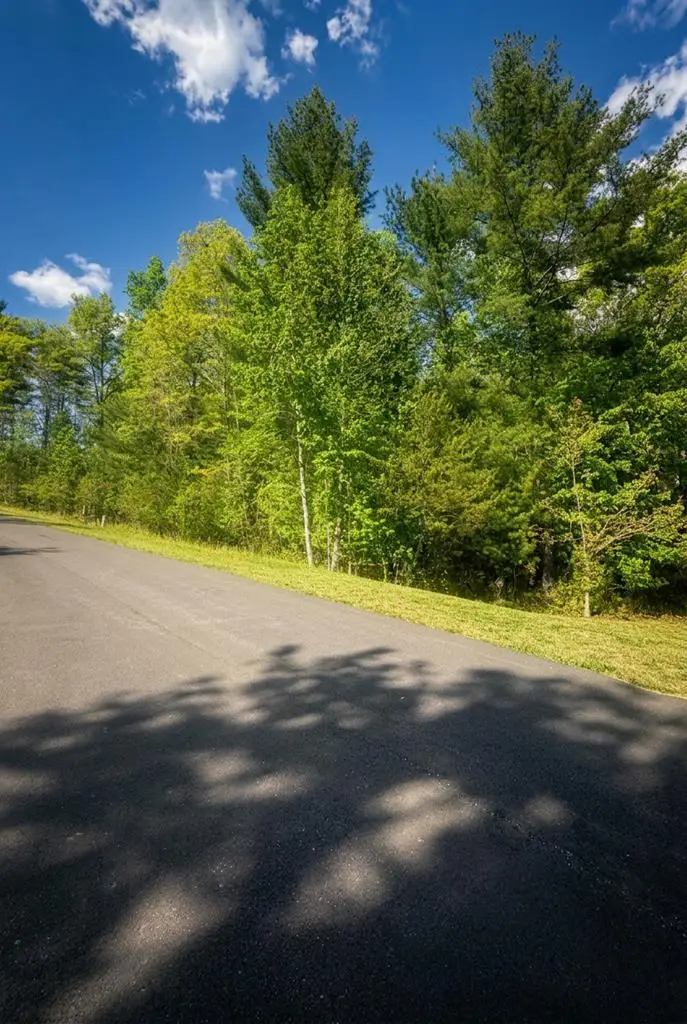 140 Nathaniels Way, Blairsville, GA 30512 - #1