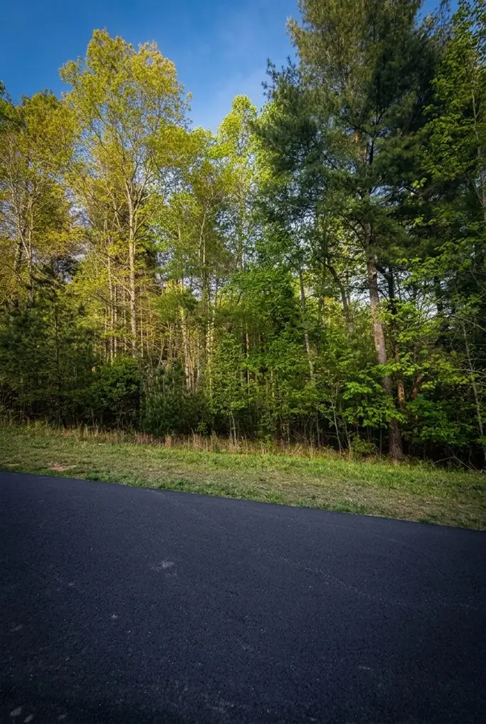 140 Nathaniels Way, Blairsville, GA 30512 - #3