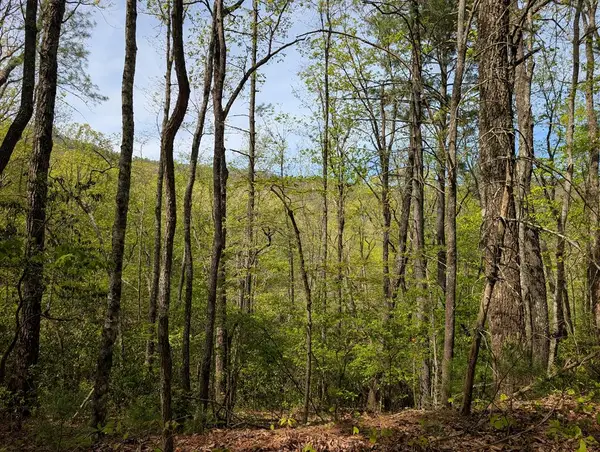 348 Atali Circle, Murphy, NC 20906