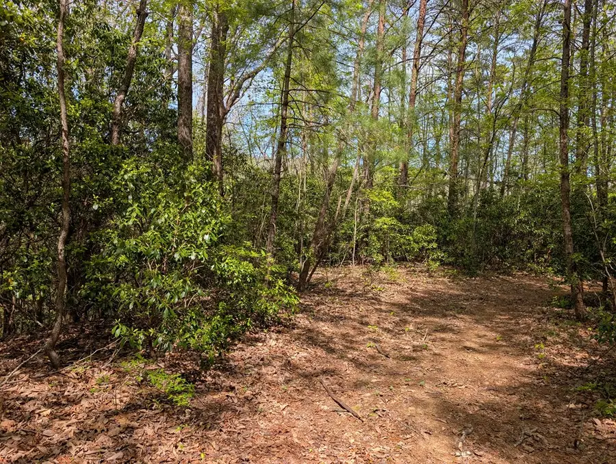 348 Atali Circle, Murphy, NC 20906 - #3