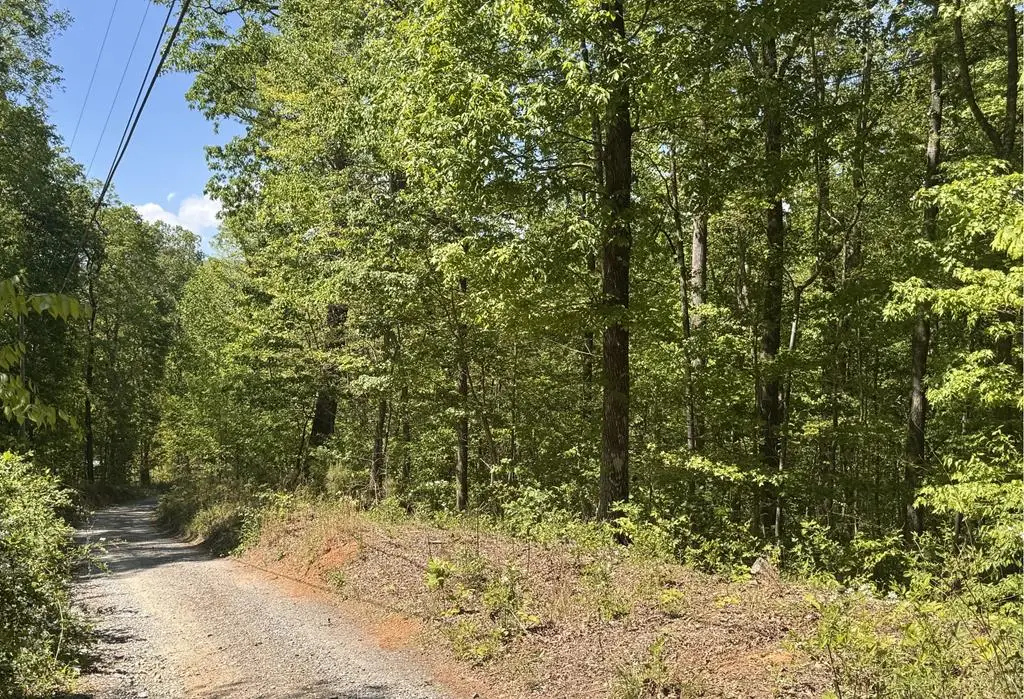 2.42 AC Poplar Drive N, Jasper, GA 30143 - #1
