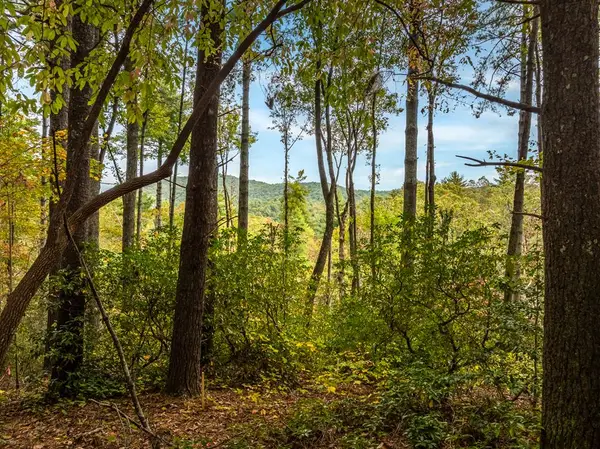 Lot 1 Chief Whitetails Road, Ellijay, GA 30540