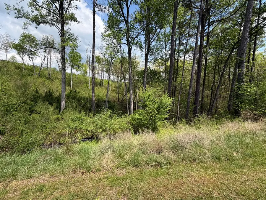 LOT 238 Lecroy Drive, Ellijay, GA 30540 - #2