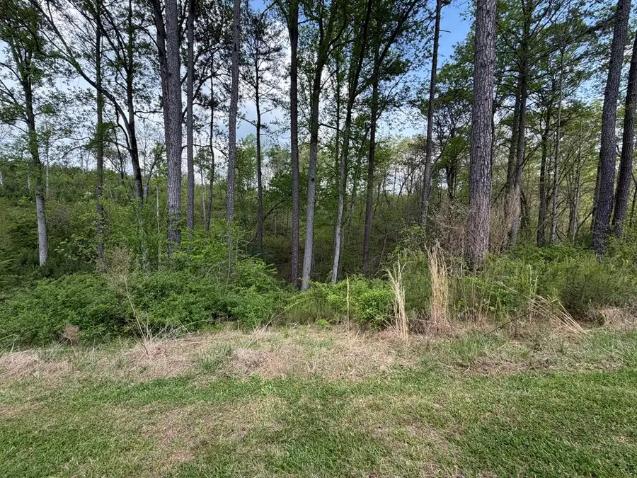 LOT 238 Lecroy Drive, Ellijay, GA 30540 - #3