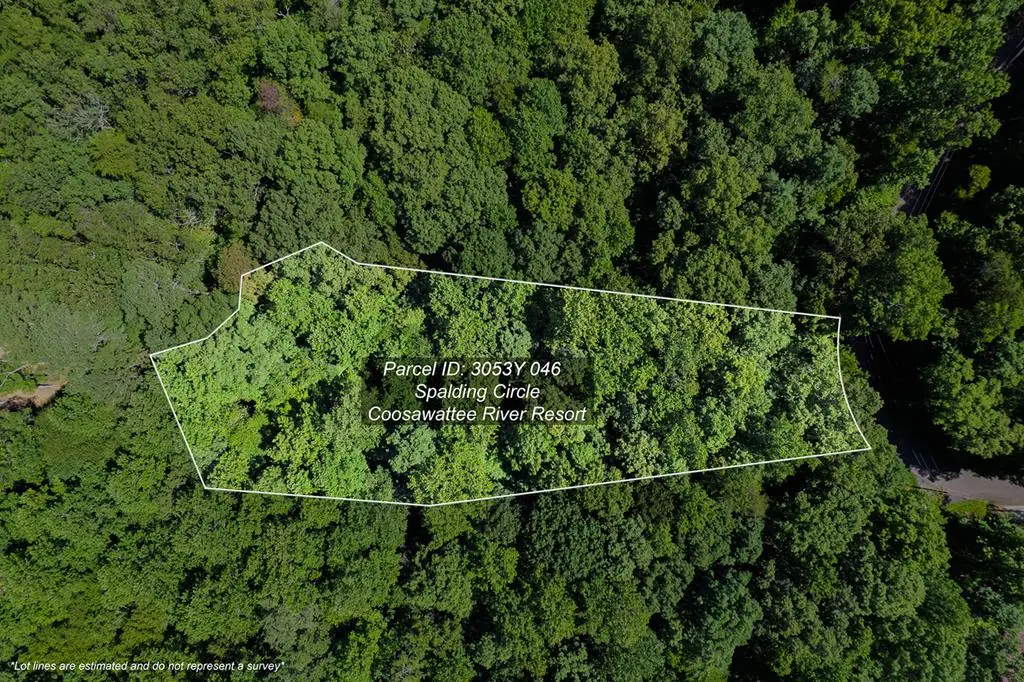 Lot 1164 Spalding Circle, Ellijay, GA 30540 - #1