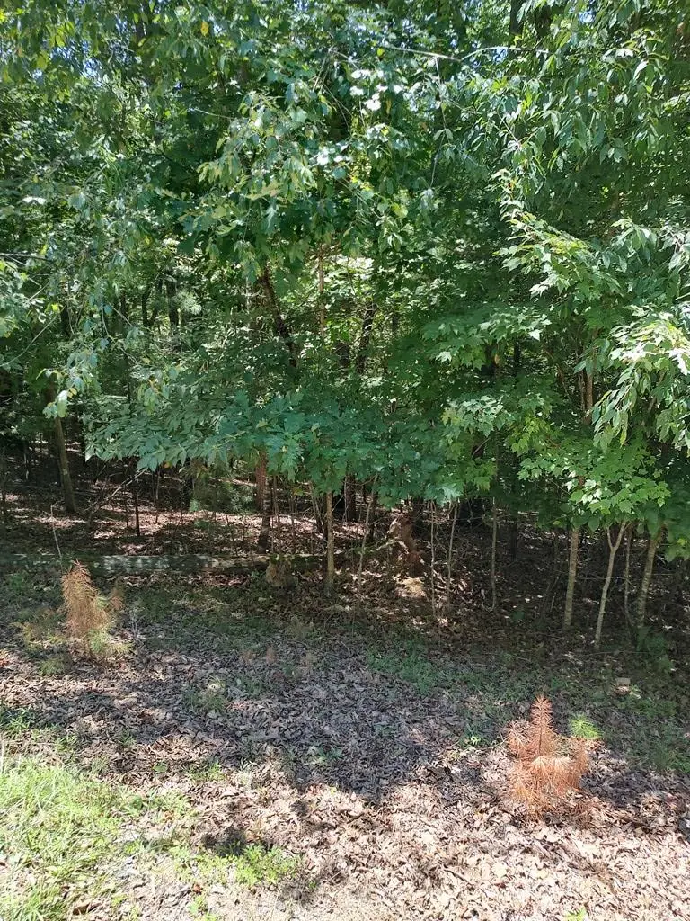 Lot 853 Matrix Lane, Ellijay, GA 30540 - #1