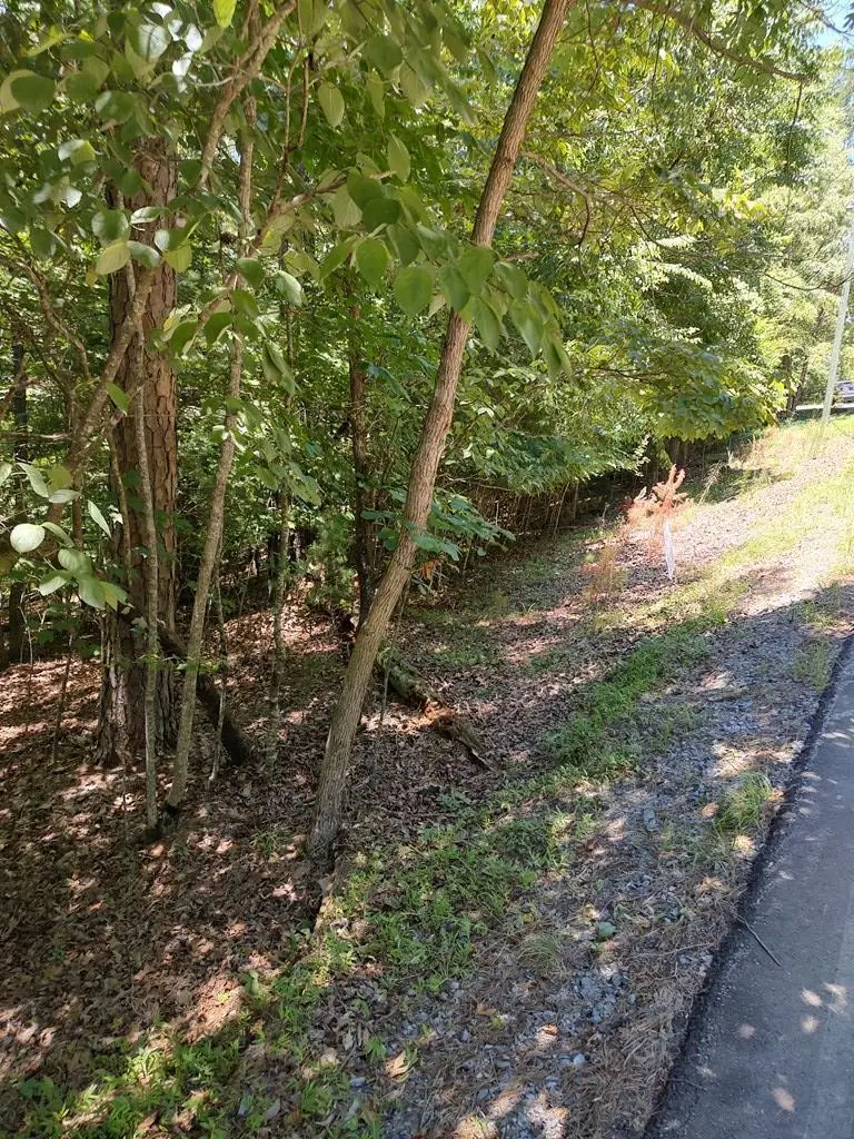 Lot 853 Matrix Lane, Ellijay, GA 30540 - #2