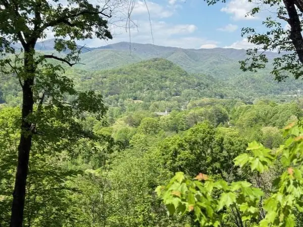 Lot 43 Silo View, Marble, NC 28905