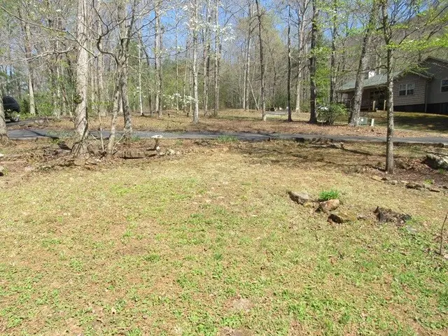 693 Puett Cove, Valleytown, NC 28960 - #2