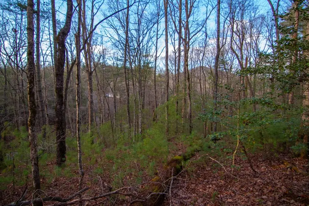 Lot 1 Rock Creek, Cherry Log, GA 30522 - #1