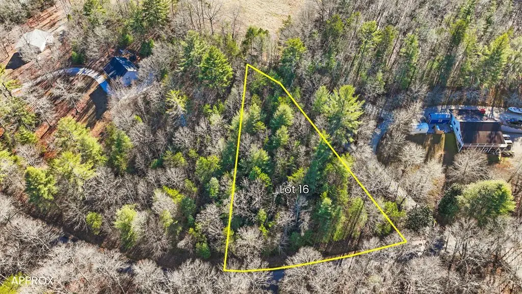 Lot 16 Stacy Lane, Blairsville, GA 30512 - #1