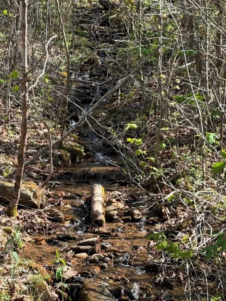 Lt 16N High Meadows Drive, Hayesville, NC 28904 - #1