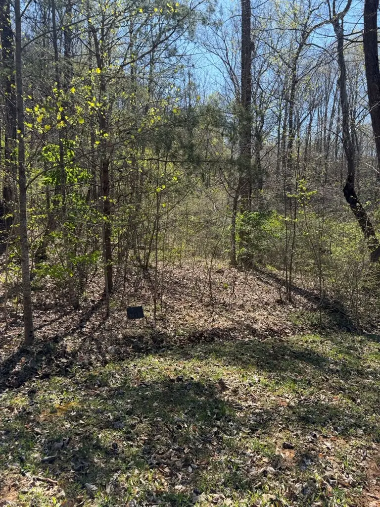 Lt 16N High Meadows Drive, Hayesville, NC 28904 - #3