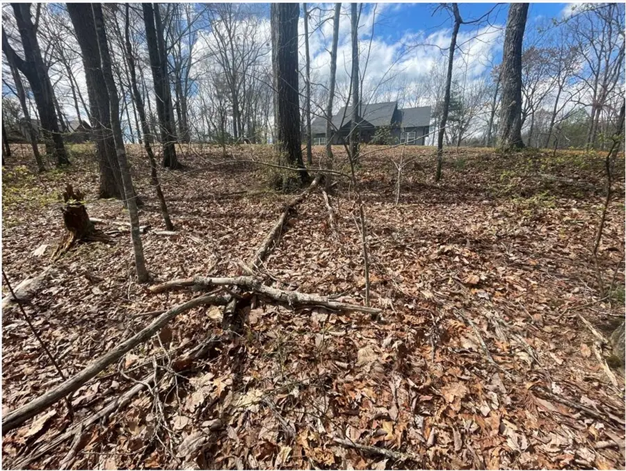 Lot 17 Abbott Mill Road, Ellijay, GA 30540 - #2