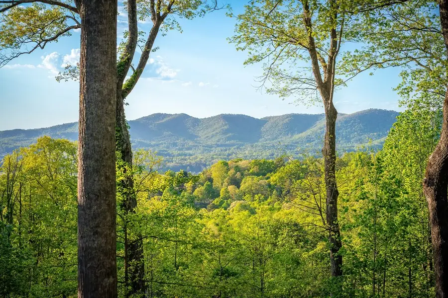 288 Sunny View Drive, Blairsville, GA 30512 - #2