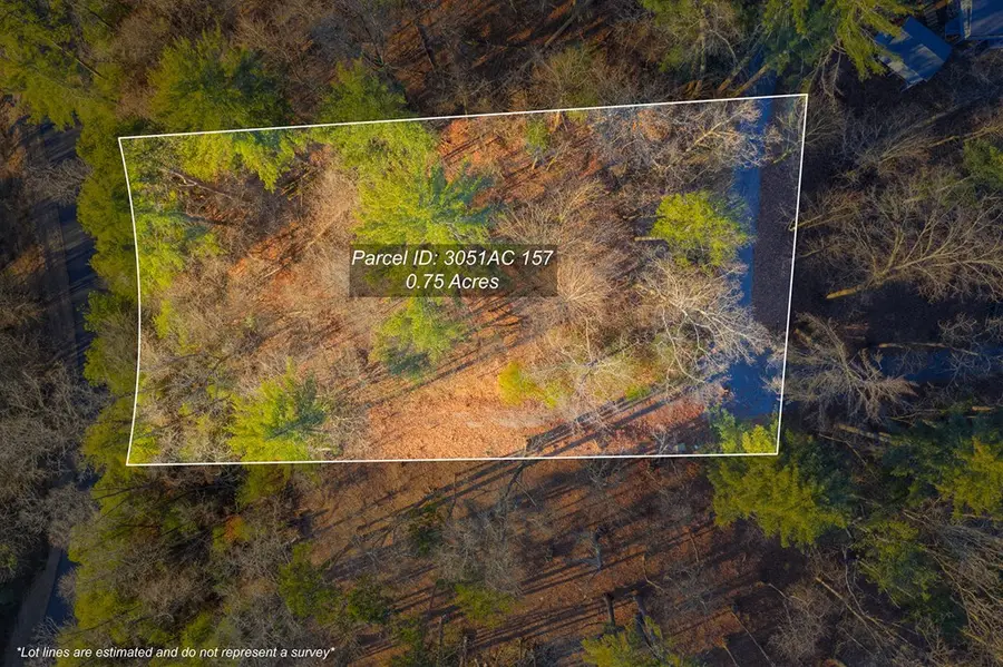 Lot 157 Roaring Forks Lane, Ellijay, GA 30540 - #3