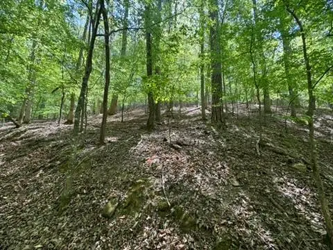 Lot 1972 Nancy Court, Ellijay, GA 30540