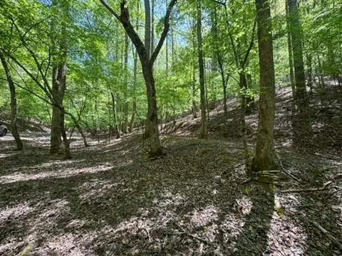 Lot 1972 Nancy Court, Ellijay, GA 30540 - #2