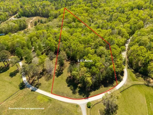 Lot 3 Spring Camp Road, Ellijay, GA 30536