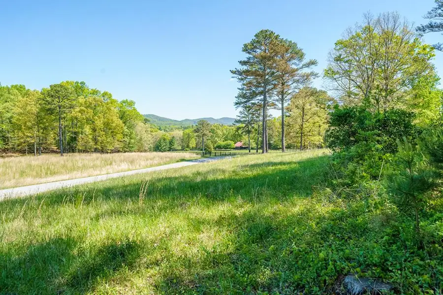 Lot 3 Spring Camp Road, Ellijay, GA 30536 - #3