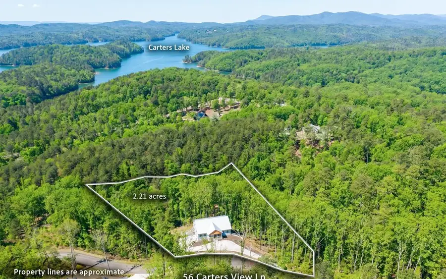 56 Carters View Lane, Ellijay, GA 30540 - #3