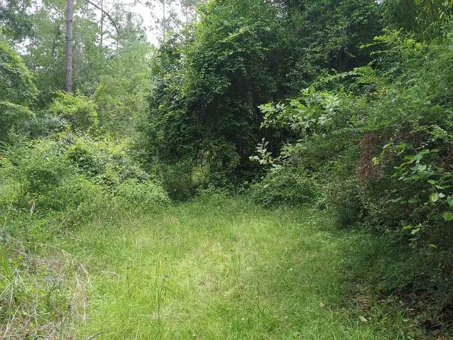 703 Parrish Avenue, Sparta, GA 30612 - #2