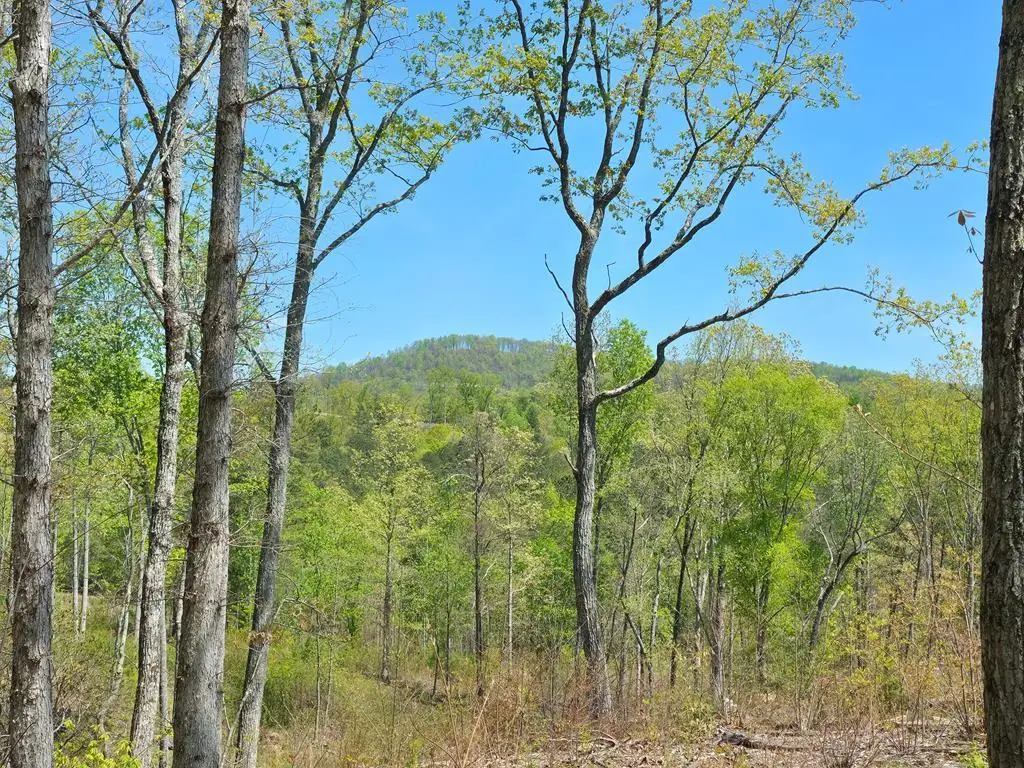 Lot 209 Oak Park Drive, Talking Rock, GA 30175 - #1