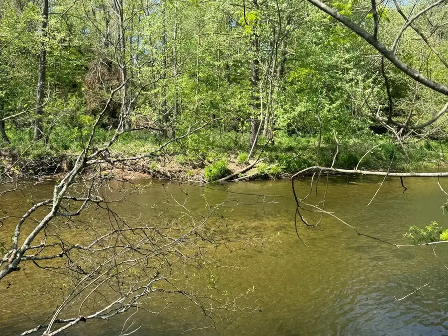 Lot 25 White Pine Trail, Suches, GA 30572 - #3