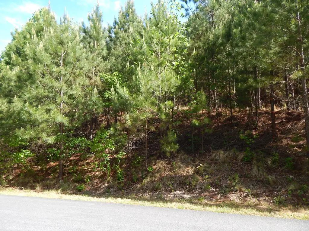 #361 The Cove At Thirteen Hundred, Blairsville, GA 30512 - #1
