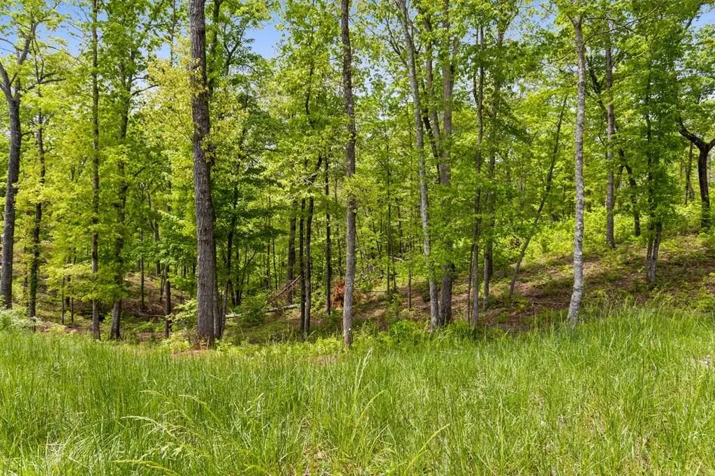 Lot 39 Jakes Landing Way, Ellijay, GA 30540 - #1