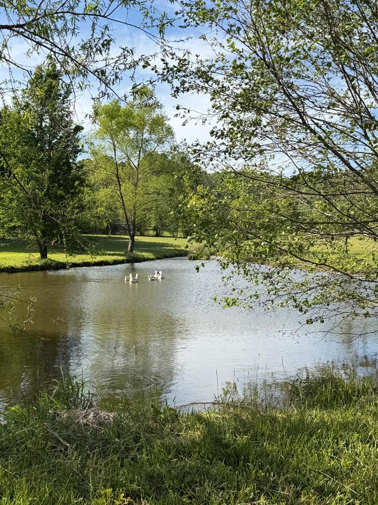 0 Barnett Road, Murphy, NC 28906 - #1