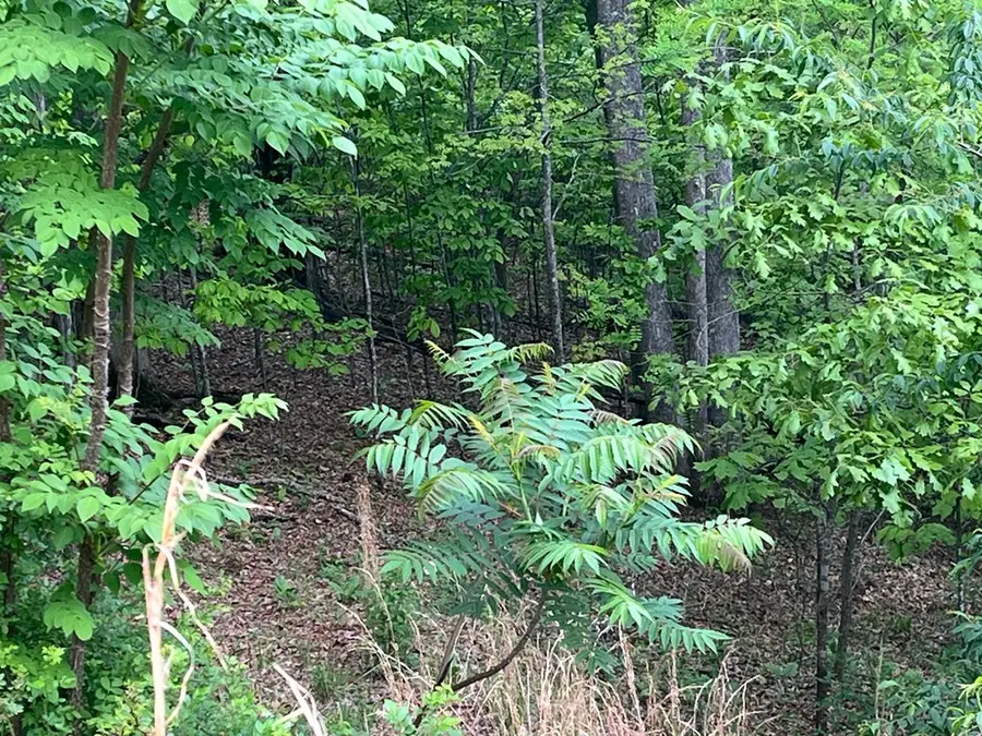 Lot 10 Summit Trail, Hiawassee, GA 30546 - #3