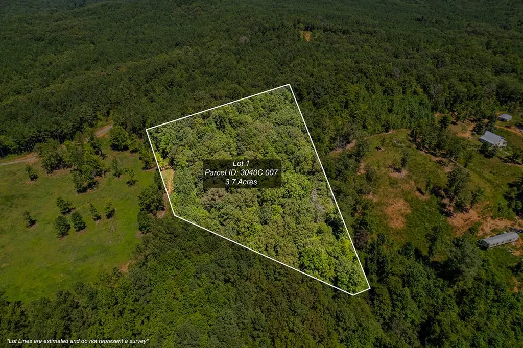 Lot 1 Harris Branch Road E, Ellijay, GA 30540 - #1